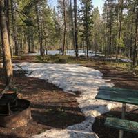 Camp site with pine trees all around.