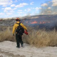 Photo of firefighter igniting a controlled burn. Photo by BLM