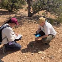 Botanists looking at plants in Price Field Office area.