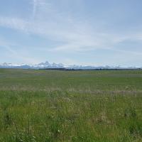 Teton Range seen from the East Idaho Rivers and Plains Restoration Landscape (BLM).