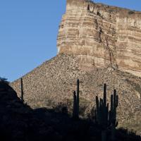 A large red and white striated escarpment with saguaro cacti in silhouette at its base