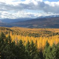 Blackfoot-Clark Fork Restoration Landscape