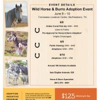 BLM to host Wild Horse and Burro Event in Murfreesboro, Tennessee