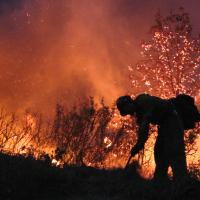Firefighter works the line during a scrub fire. 
