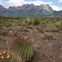 BLM New Mexico