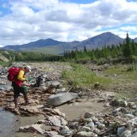 Geologist on the banks of a creek taking a closure look at a rock