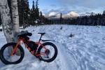 Man standing next to posted permit and fat tire bike