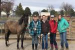 4-H Trained Wild Horse