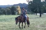 Girl riding horse in grassy field. 