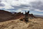 K-9 Officer Vico laying down with his head up against a background of rugged peaks