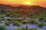 a desert landscape with saguaro cacti and distant mountains. The sun sets behind the mountains