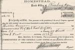 Letitia Carson's homestead certificate