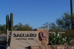 Saguaro National Park