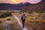 Woman hikes on trail with flowers surrounding and sunset and mountains in background