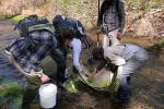 a group of people gathered around a net in a stream