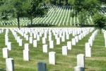 Arlington Cemetery