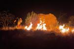 A firefighter is silhouetted by flames at night