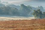 Tallgrass Prairie National Preserve