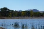 Pahranagat Wildlife Refuge oasis 