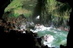 Sea Lion Caves