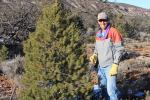 Man with a saw next to a Christmas tree