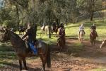 Horses with riders crossing a creek