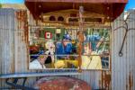 Bisbee, Arizona
