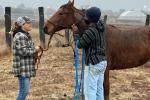 Horse and adopter in arena. 