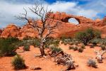 Arches National Park
