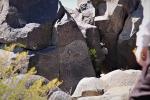 One of the more than 21,000 glyphs of birds, humans, animals, fish, insects and plants, as well as numerous geometric and abstract designs, are scattered over 50 acres of New Mexico's northern Chihuahuan Desert at the Three Rivers Petroglyph National Monument site.