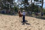 A man stands with a horse holding a rope while people look on. 