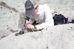 A man kneeling down and using a tool to pick at a white rock. 