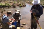 People standing and sitting in a creek with with buckets and scientific equipment