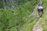 A man on a horse rides on a trail through the mountains. 