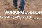 Working Landscapes Livestock Grazing on the Agua Fria National Monument video thumbnail