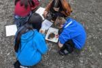 School students huddle around a tray filled with water, sand, and pebbles looking for aquatic insects during a watershed study. BLM photo, A. Runde
