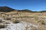 A landscape with some grasses and snow. 