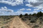 A dirt path along vegetation. 