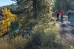 Three people riding bikes on a gravel trail in a wooded area.