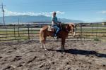 A woman rides a brown horse on a sunny day.