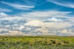 Grasslands on Milton Ranch, pictured here, have been returned to native seed. 
