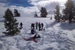Alt Text: A photo showing several people snowshoeing and playing on a snow-covered hill dotted with juniper trees.