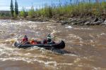 Two women paddle aggressively through medium rapids down a rapid with green spruce trees in the background.
