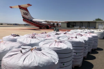 Big plastic bags on the tarmac next to a parked airplane