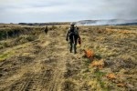 A person in a hard hat and black backpack ignites fire on open grassland with a driptorch