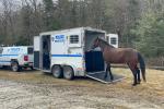 A horse is led into a trailer with the New York Police Department logo