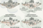 Graphic depicting forest with different levels of thinning