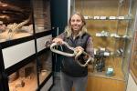 Local wildlife biologist holds gopher snake.