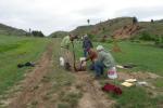 a group of four people, two with shovels, peer into a hole dug along a dirt track road