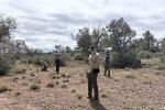 A group of workers in a desert landscape with patches of grass and trees in the background